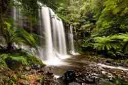 Russell Falls - Mt Field National Park, Tasmania