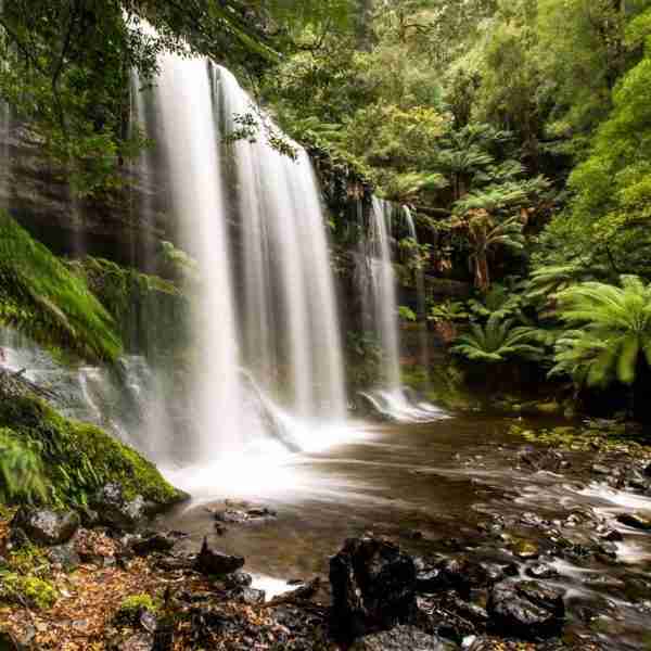 Russell Falls - Mt Field National Park, Tasmania