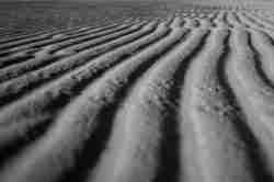 Mini Dunes