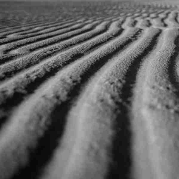 Mini Dunes