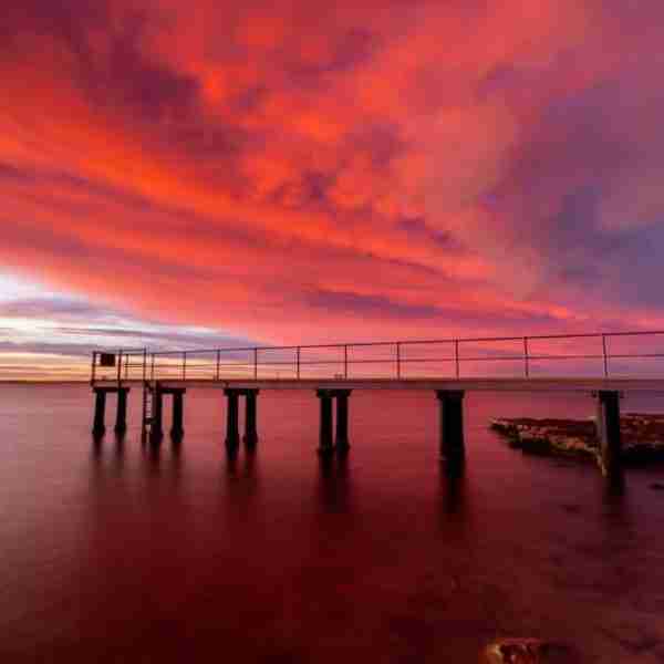 Cotton Candy - Beaumaris, Victoria