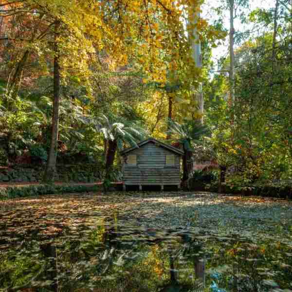 The Boathouse - Jigsaw