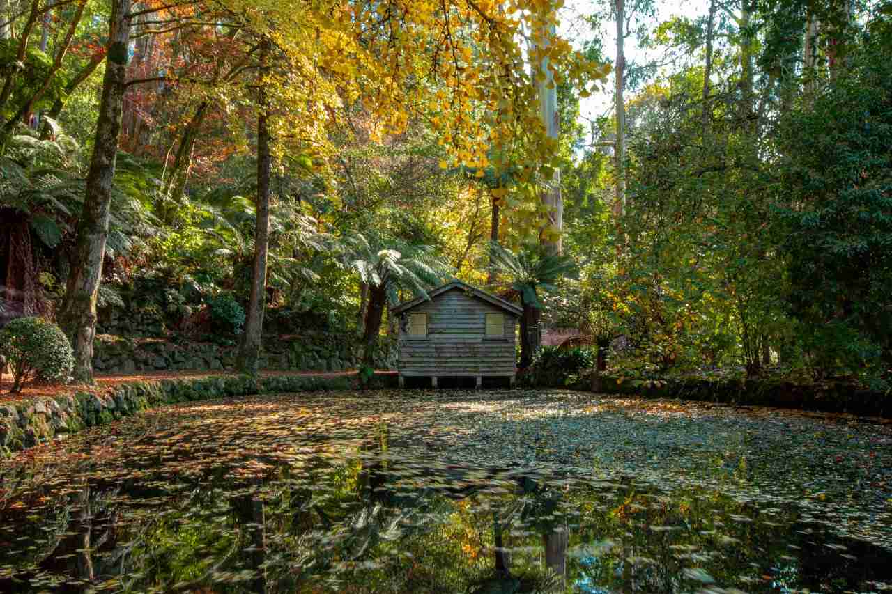 Alfred Nicholls Boathouse - Dandenong Ranges, VIC | Rob Daniel Images
