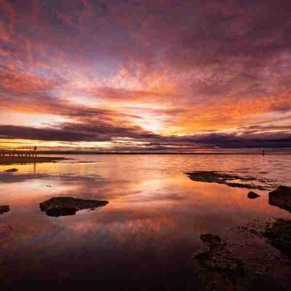 Beauy Reflections - Beaumaris, Victoria