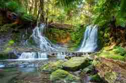 Horseshoe Falls - Mt Field National Park, Tasmania