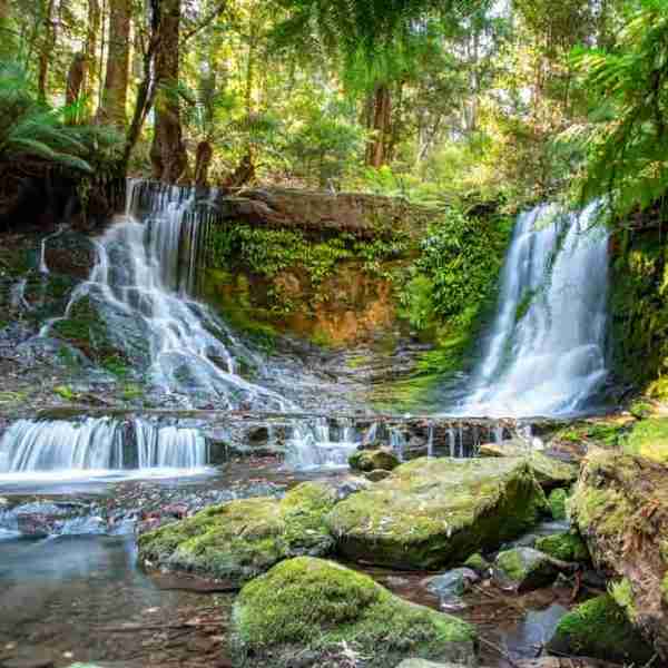 Horseshoe Falls - Mt Field National Park, Tasmania