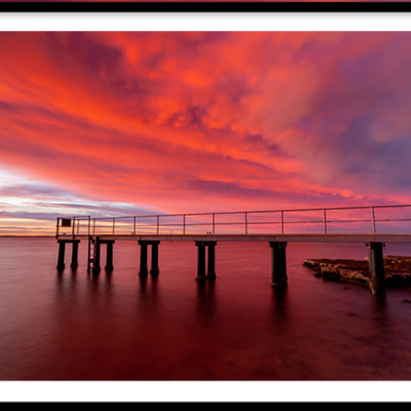 Cotton Candy - Beaumaris, Victoria