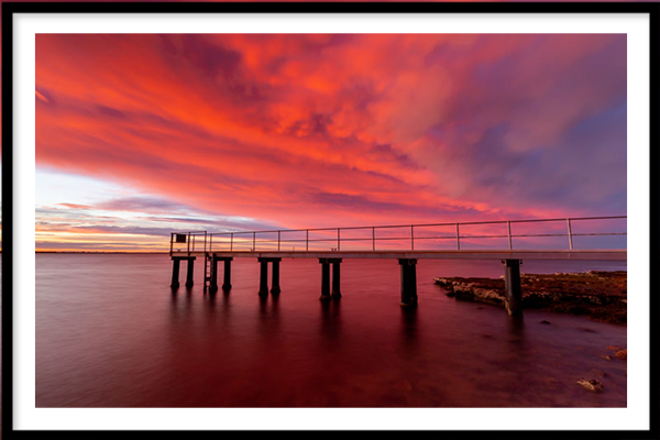 Cotton Candy - Beaumaris, Victoria - Image 2