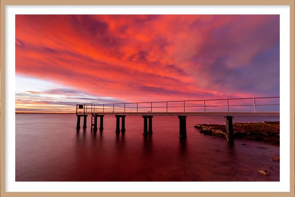 Cotton Candy - Beaumaris, Victoria - Image 3
