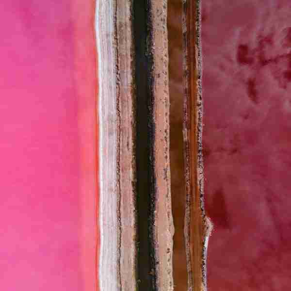 Salts Lines - Hutt Lagoon, Western Australia
