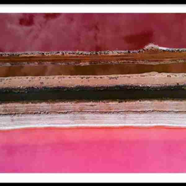 Salts Lines - Hutt Lagoon, Western Australia