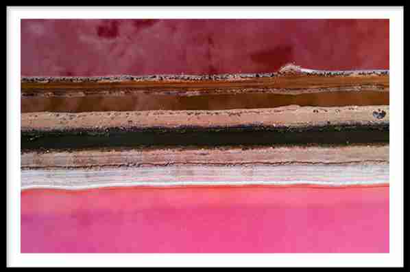 Salts Lines - Hutt Lagoon, Western Australia - Image 2