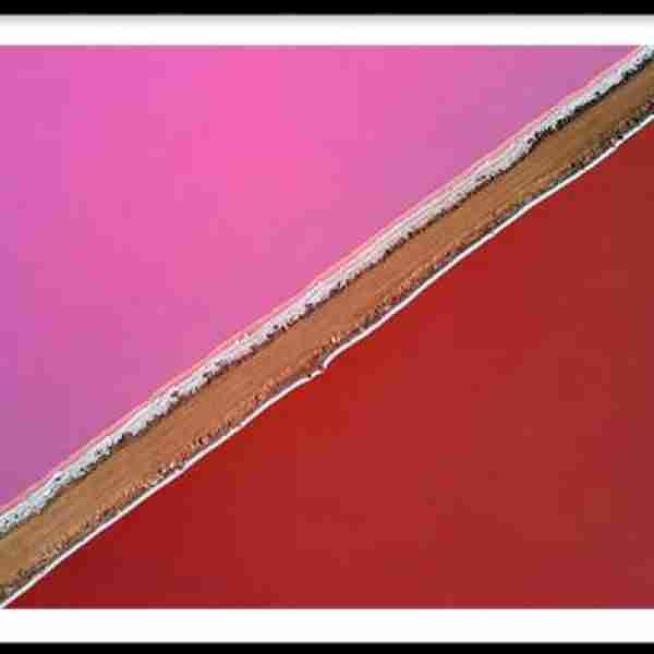 Diagonal Salts - Hutt Lagoon, Western Australia